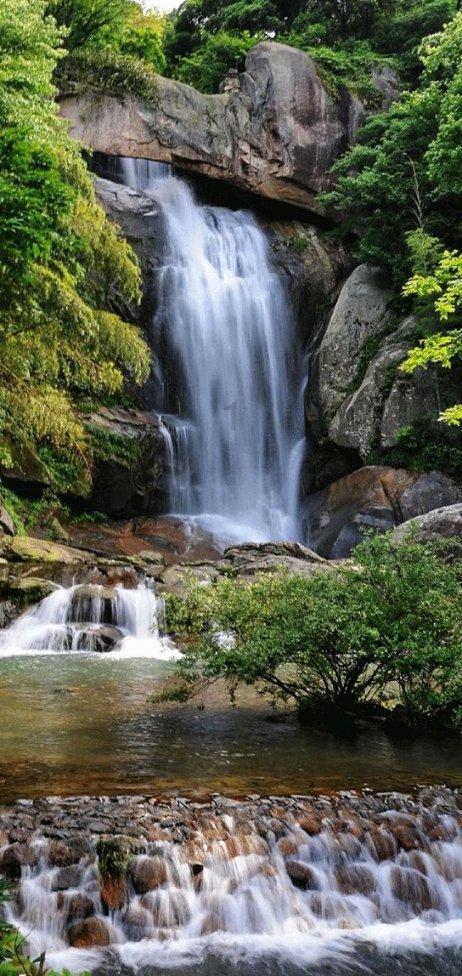 特朗普语出惊人！没有总统豁免权，杜鲁门不会决定向日本投原子弹