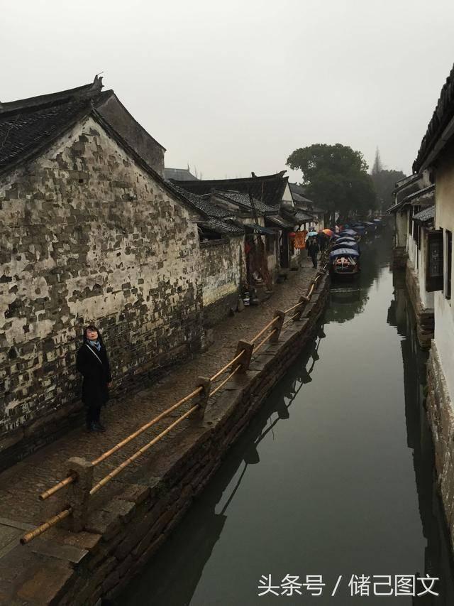 春雨直播app